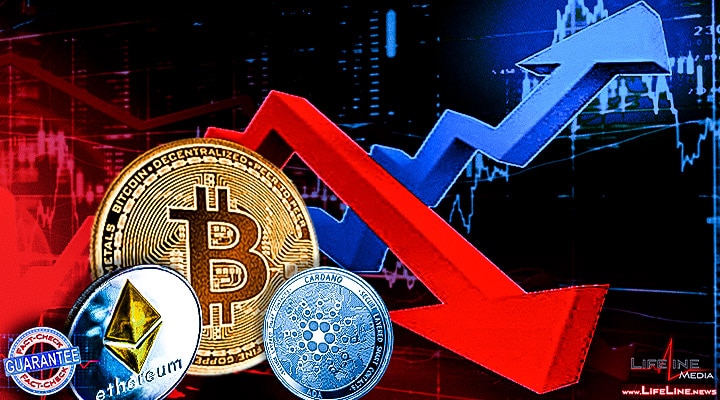 Crypto news Bitcoin investors