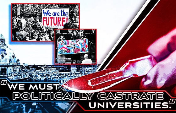 We must politically castrate universities