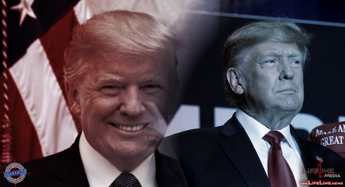 Donald J. Trump The White, En oversigt over Donald Trumps