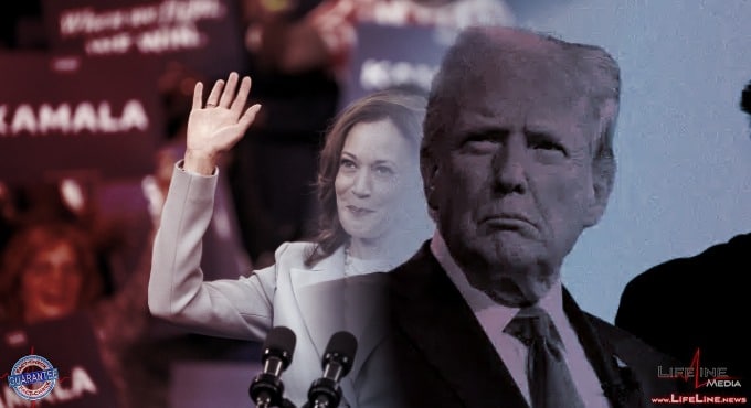 Kamala Harris Leads in National, Donald Trump Business Leaders Support